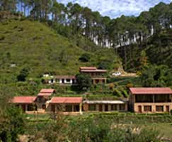 Almora Tour Package