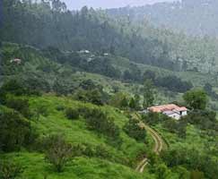 Almora Holiday Package