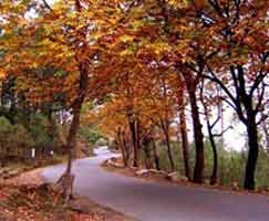 Almora Tourism