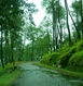 Almora Tour Packages